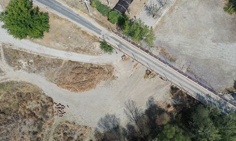 Denizli'nin 852 Yıllık Geleneksel Koyun Geçirme Etkinliği Kuraklık Nedeniyle Değişti