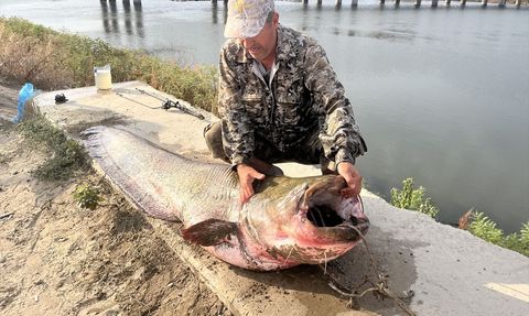 Edirne'de Rekor Boyda Balık Yakalandı