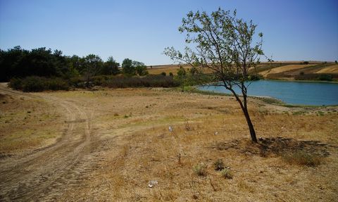 Edirne'deki Korucuköy Göleti'nde Su Seviyesi Düşüyor