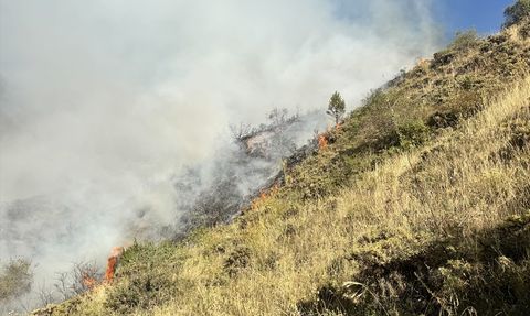 Erzurum'da Örtü Yangını Kontrol Altına Alındı