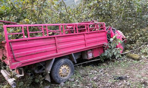 Giresun'da Kamyonet Devrildi: 4 Ölü, 1 Yaralı