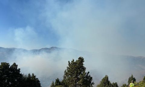 Gümüşhane'de Orman Yangınına Müdahale Devam Ediyor