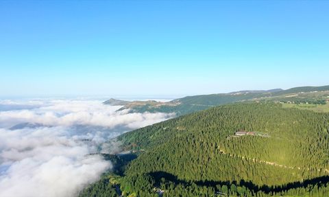 Haçka Yaylası: Doğanın Kalbinde Bir Kaçış Noktası