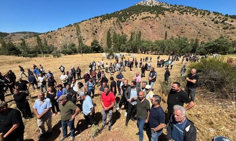 Hüseyin İldem'in Son Yolculuğu: Türkiye'nin Güreş Kahramanı