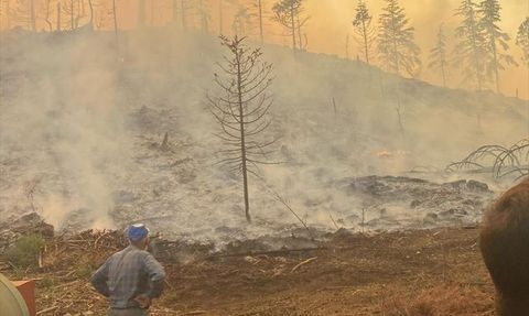 Karaman'daki Orman Yangınlarına Müdahale Devam Ediyor