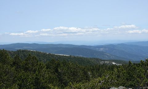 Kazdağları'nın Eşsiz Bitki Çeşitliliği ve Jeolojik Önemi