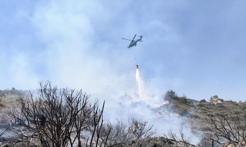 KKTC'de Orman Yangını Kontrol Altına Alındı