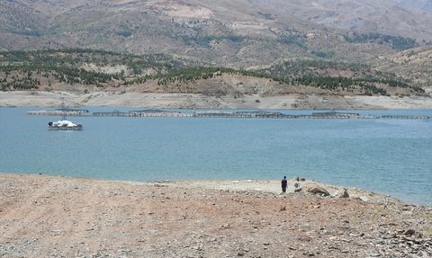 Malatya'da Alabalık Tesisleri Devlet Desteğiyle Artıyor