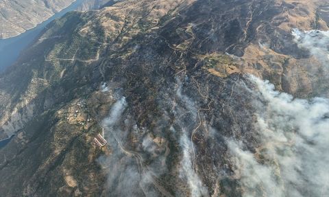 Malatya'daki Orman Yangınına Müdahale Devam Ediyor