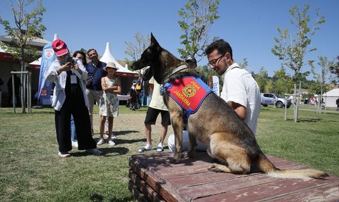 Malazgirt Zaferi'nin 954. Yıl Dönümü Ahlat'ta Kutlanıyor