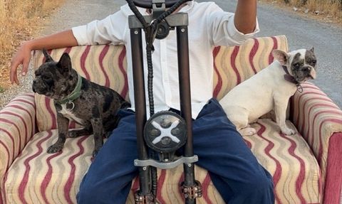 Muğla'da Skuterle Köpek Gezdirme Macerası