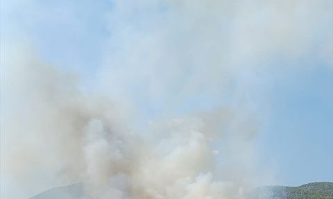 Muğla Seydikemer'de Orman Yangınına Müdahale Başladı