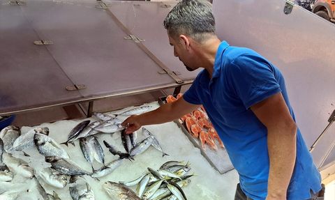 Sinop'ta Palamut Fiyatları 350 Lira