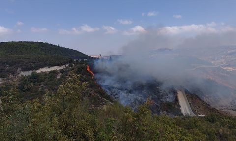 Yayladağı'ndaki Orman Yangını Kontrol Altına Alındı