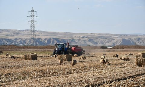 Batman'da Mısır Anızı Biyoyakıt Olarak Değerlendiriliyor