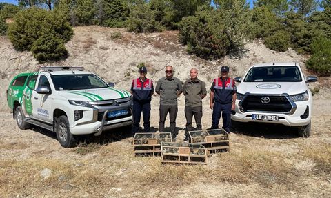 Kütahya'da Ele Geçirilen 142 Saka Kuşu Doğaya Salındı