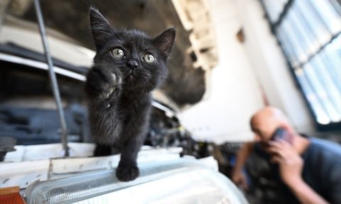 Tamirhanede Yeni Bir Masot: Çırak
