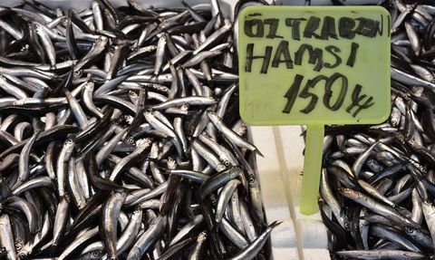 Trabzon'da Hamsi ve İstavrit Fiyatları Düşüşte