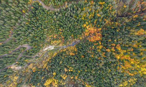 Azdavay'da Saray Şelalesi'nde Sonbahar Renk Şöleni