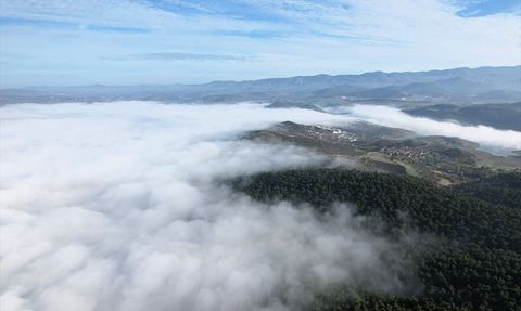 Balıkesir'de Yoğun Sis: Görüş Mesafesi 20 Metreye Düştü