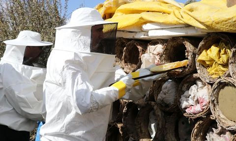 Bitlis'te Karakovan Balı Hasadı Coşkusu