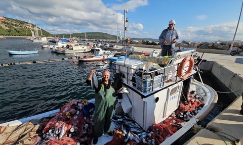 Eceabat'ta Balıkçı İçin Şaşırtan Av: 1000 Palamut