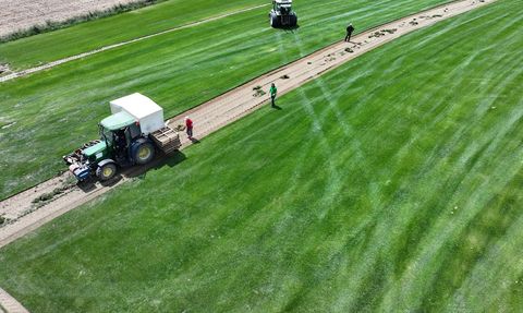 Edirne'de Tersine Göçü Destekleyen Rulo Çim Üretimi