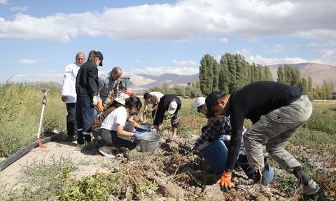 Geleceğin Ziraat Mühendisleri Uygulama Bahçelerinde Yetişiyor