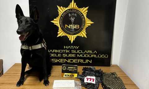 Hatay'da Kokain Operasyonu: İki Zanlı Tutuklandı