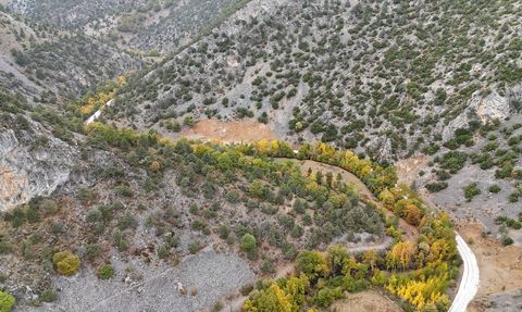 Isparta'da Sonbahar Renkleri