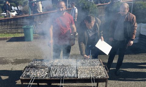 KTÜ'de Öğrencilere 3 Ton Hamsi İkram Edildi