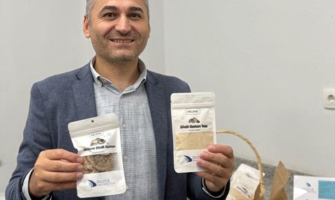 Mantar Zehirlenmelerinde Acil Önlemler