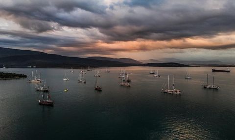 Maximiles Black The Bodrum Cup Yelken Yarışları İasos-Yalıkavak Etabı