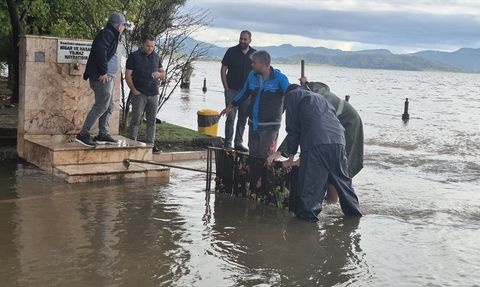 Muğla'da Sağanak Yağış Sonrası Su Baskınları