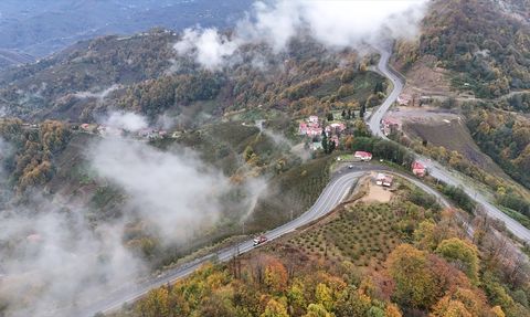 Ordu'da Sonbaharın Sisle Güzelleşen Manzaraları