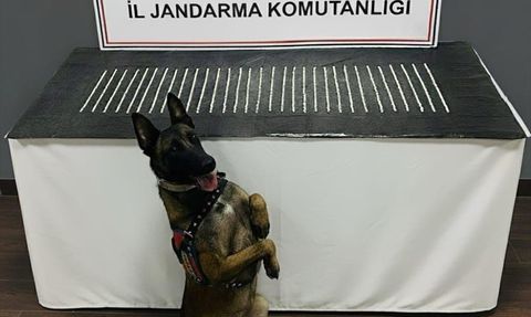 Şanlıurfa'da Uyuşturucu Operasyonu: 4 Şüpheli Gözaltında