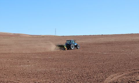 Sivas'ta Yerli Buğday ve Arpa Çeşitlerinde Deneme Ekimi Başladı