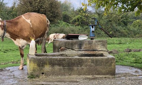 Zonguldak'ta Su Kuyusunda Genç Kız Cesedi Bulundu