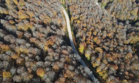 Nebiyan Dağı'ndaki Sonbahar Güzellikleri