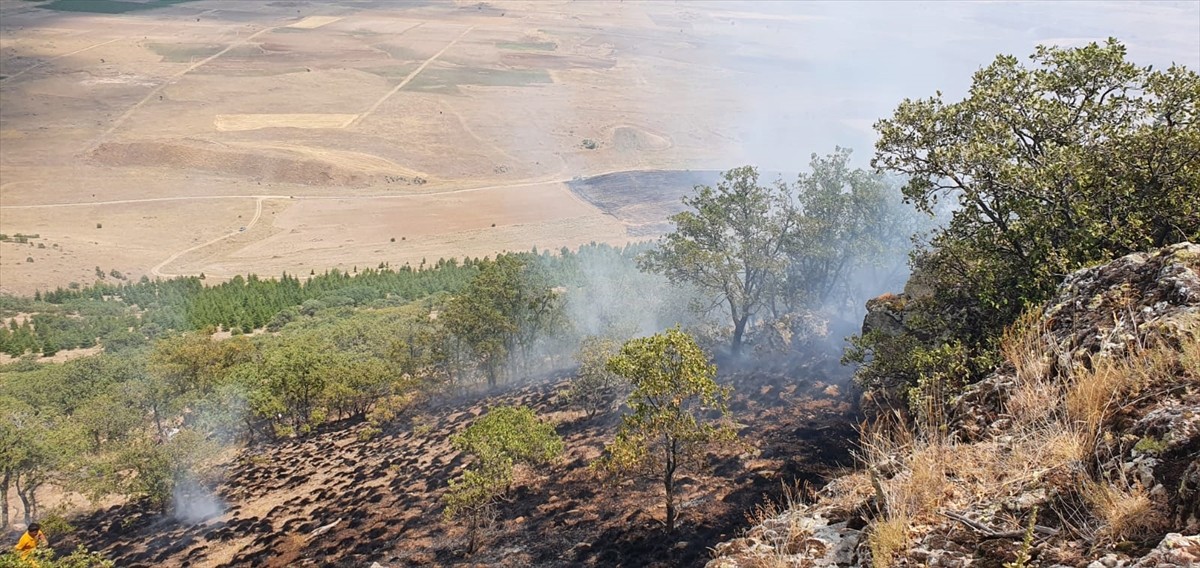 Aksaray'ın Gülağaç ilçesinde ormanlık alana sıçrayan anız yangını söndürüldü.