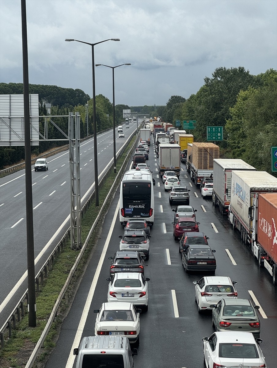 Anadolu Otoyolu'nun Sakarya geçişinde büyükbaş hayvan taşıyan tırın kaza yapması ulaşımda aksamaya...