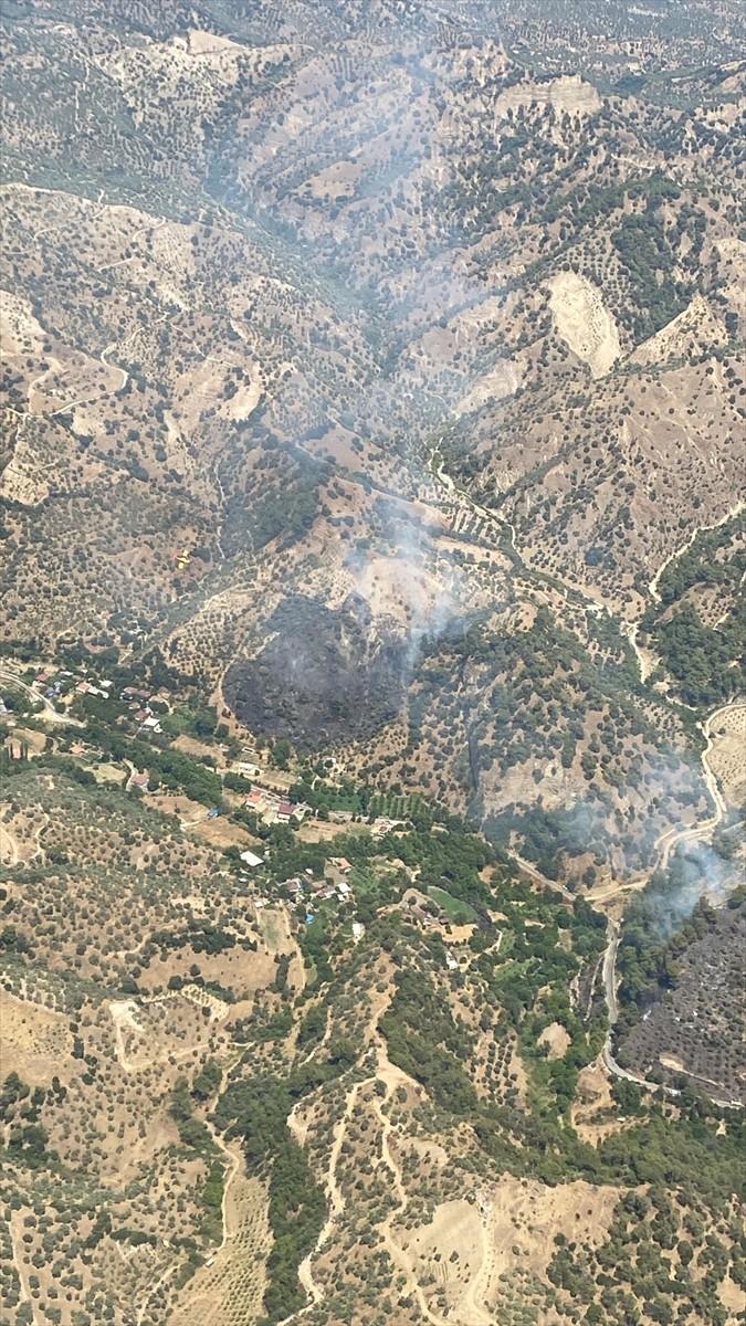  Aydın'ın Efeler ilçesinde, ormanlık ve zeytinlik alanda çıkan yangında, yaklaşık 150 dönüm alan...