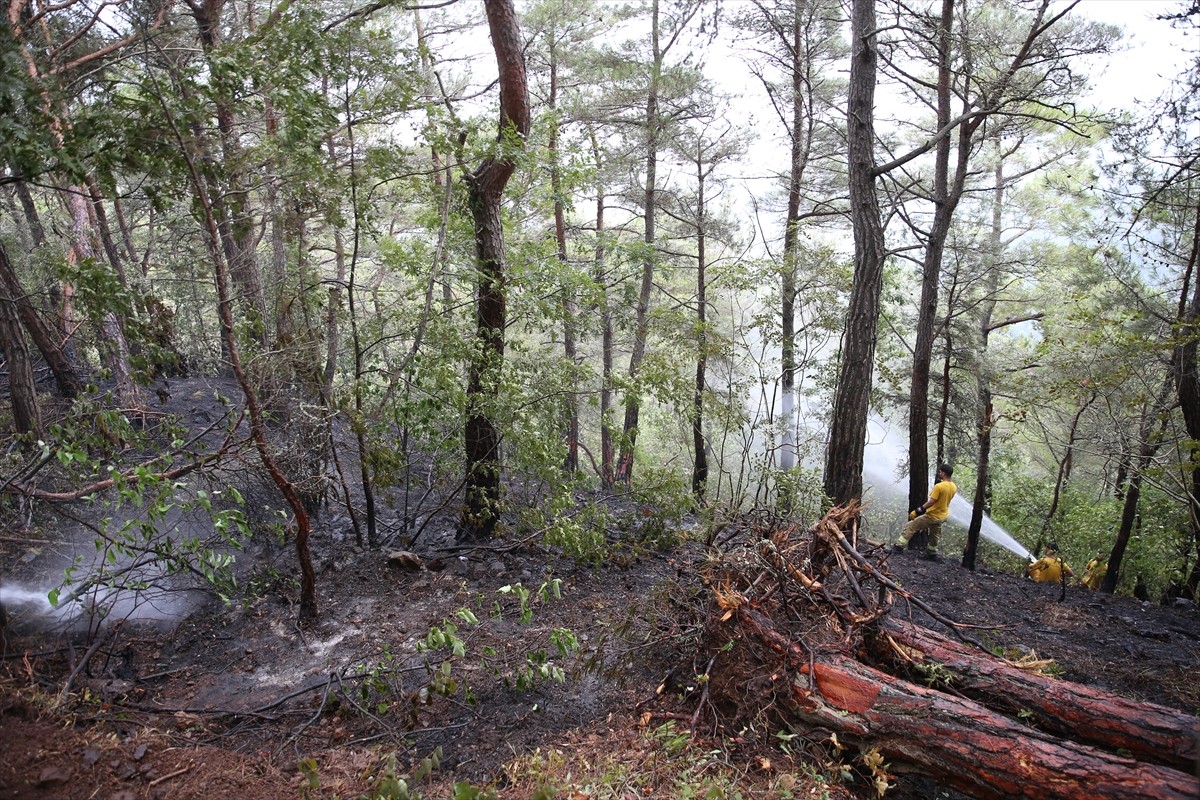 Hatay'ın Arsuz ilçesinde ormanlık alanda çıkan yangın, havadan ve karadan müdahaleyle kontrol...