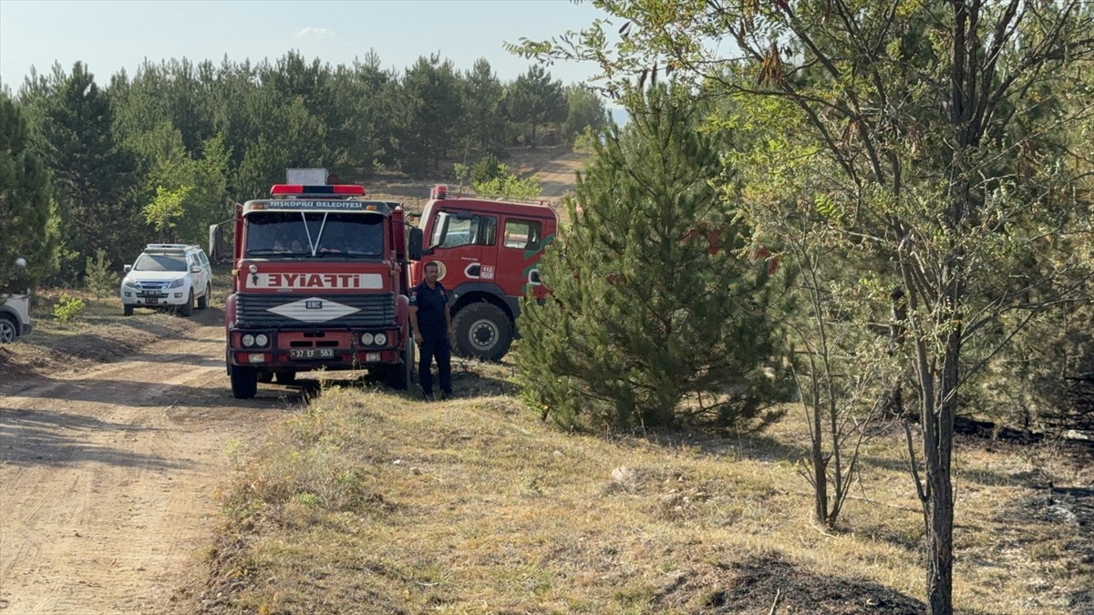 Kastamonu'da kontrol altına alınan orman yangınında, soğutma çalışmaları sürüyor.
