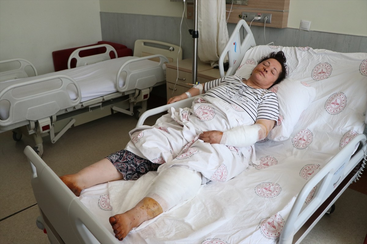 Niğde'de sahipli 2 köpeğin saldırısında yaralanan kadın, tedavi altına alındı. Altunhisar...