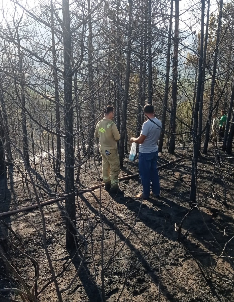 Bursa'nın Orhaneli ilçesinde arazide başlayıp ormanlık alana sıçrayan yangın ekiplerin kısa...