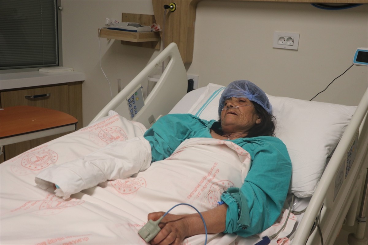 Erzurum'da hayvanlara saman verirken balyadan çıkan yılanın kolunu ısırdığı 61 yaşındaki Saraynaz...