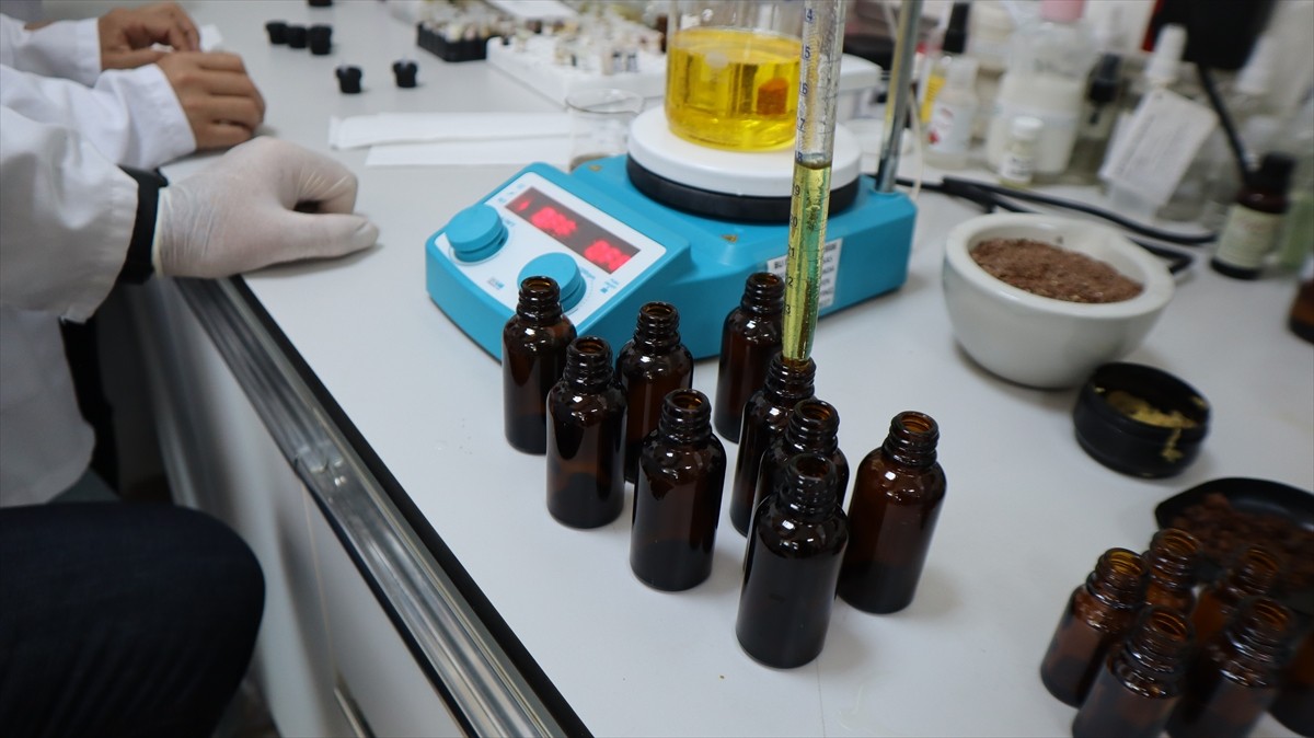 Iğdır Üniversitesi laboratuvarlarında yöreden yetişen tarımsal ve endemik türler ile Ağır Dağı...