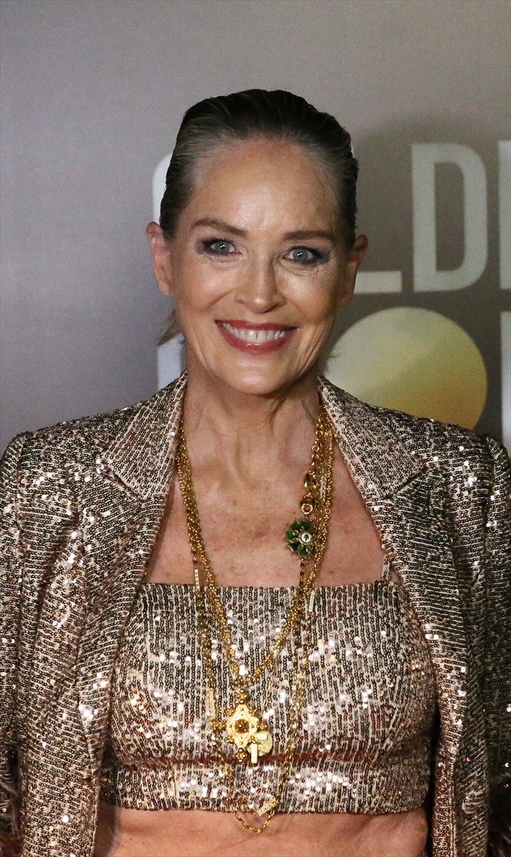 Muğla'nın Bodrum ilçesinde düzenlenen organizasyonda ABD'li aktris Sharon Stone'a, "Uluslararası...