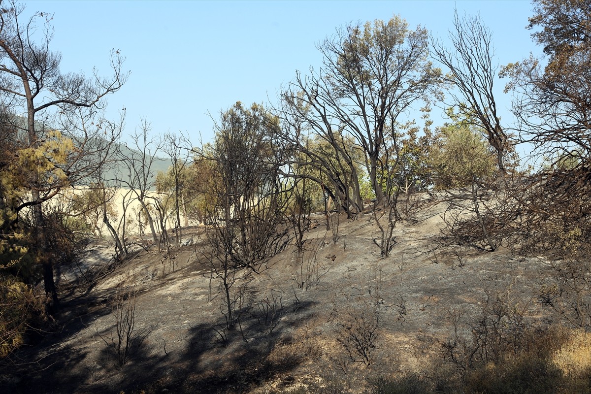 Muğla'nın Milas ilçesinde çıkan orman yangını kara ve hava ekiplerinin müdahalesiyle kontrol...